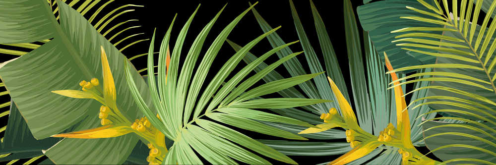 Titelbild Tropische Blätter in verschiedenen Grüntönen